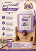 Lavapavimenti lavanda